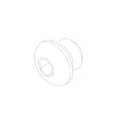 Blanking plug 3/8-24 #1