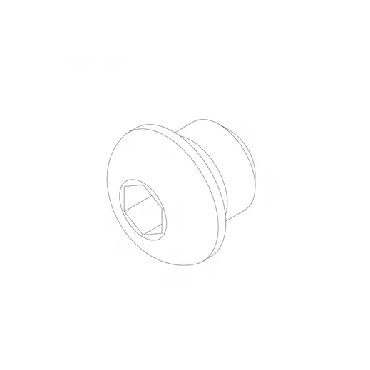 Blanking plug 3/8-24