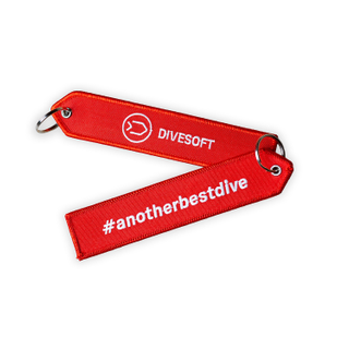 KEY RING - ANOTHER BEST DIVE