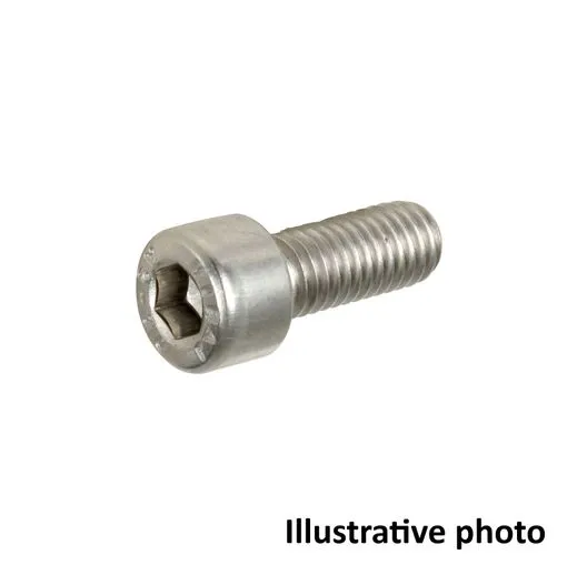 Screw M3 x 10, socket head, stainless