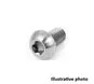 Screw M6 x 16, T30, stainless #1